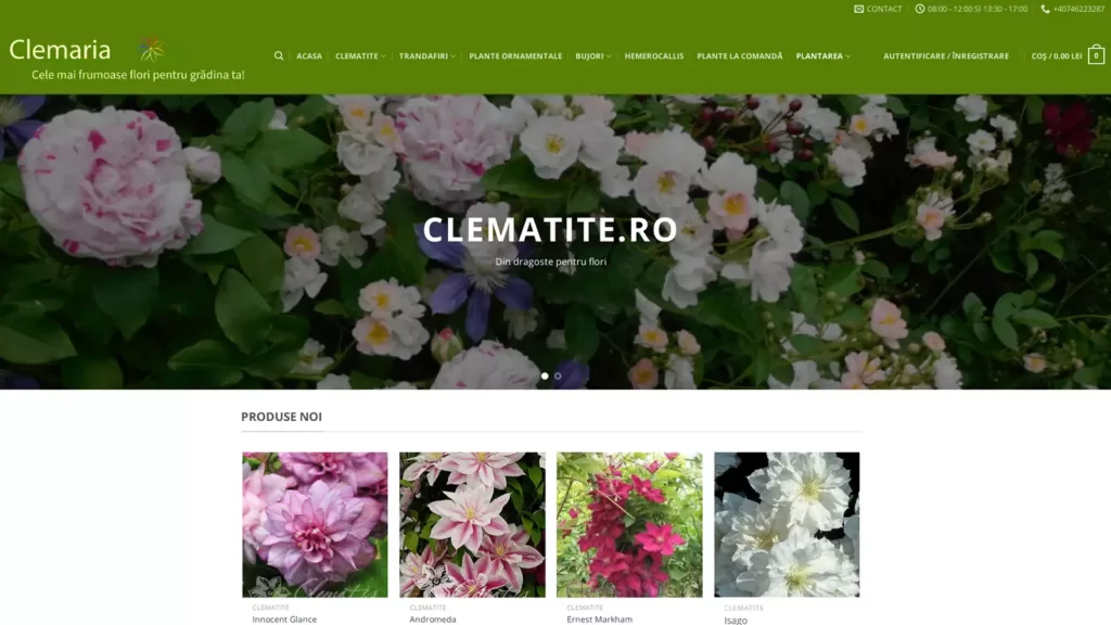 clematite.ro - Powered by Xplication - Web Design & Development Company